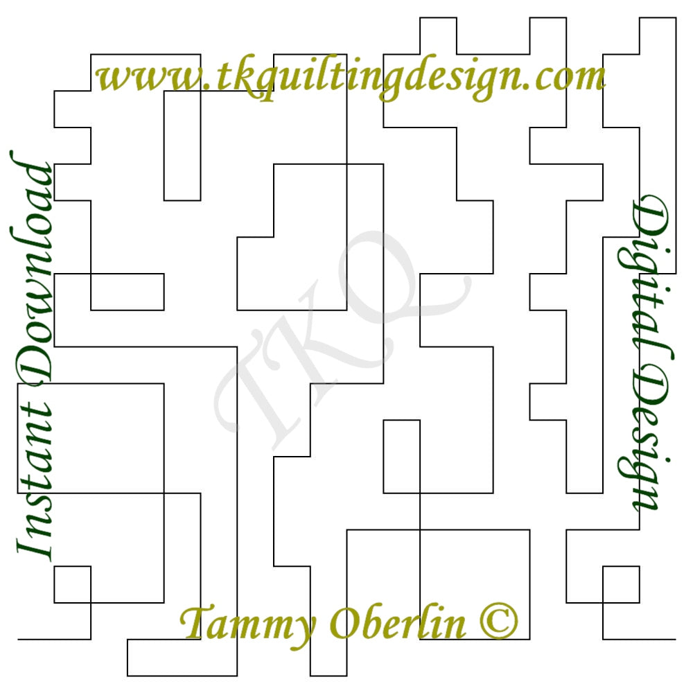 2661 Totally Mod Maze E2E