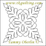 426 TKQ Collection 11