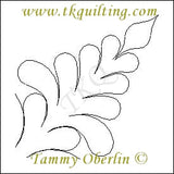 426 TKQ Collection 11